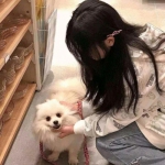 中欧·体育(KOK)中国官方网站app下载